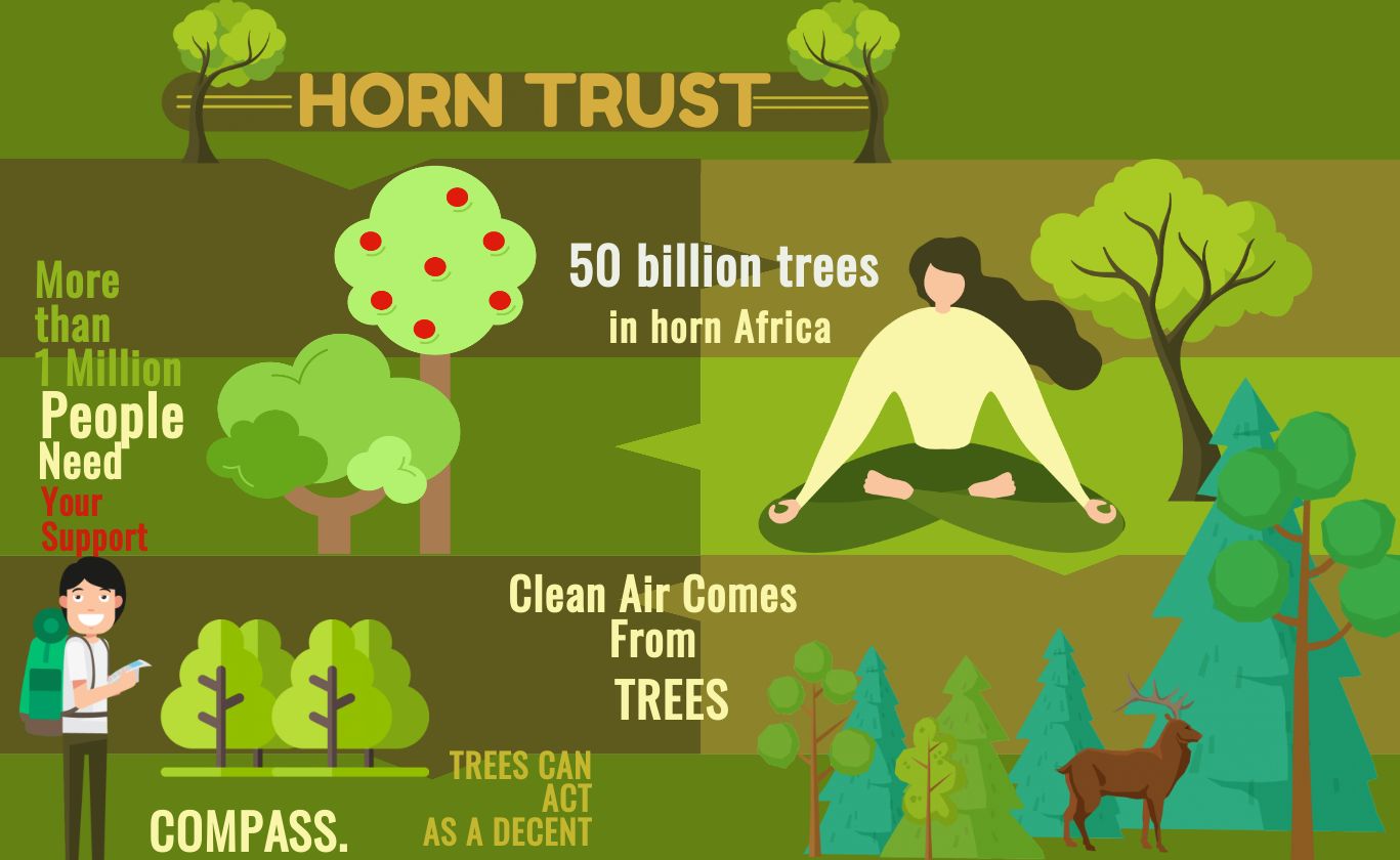 Green Project Africa - Tree Infographic